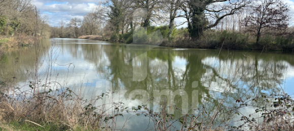 5 chambres Maison à Salbris, France No. 62877 9