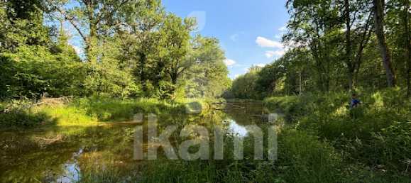 5 chambres Maison à Salbris, France No. 62877 15