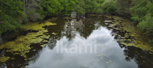 5 chambres Maison à Salbris, France No. 62877 14