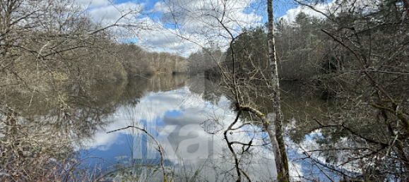 5 chambres Maison à Salbris, France No. 62877 11