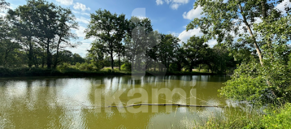 5 chambres Maison à Salbris, France No. 62877 16