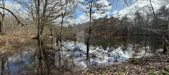 5 chambres Maison à Salbris, France No. 62877 17