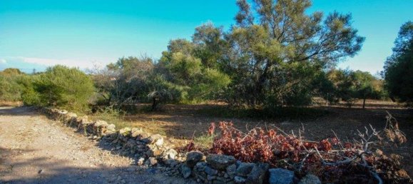 11720m² Land in Olhao, Portugal No. 85715 19