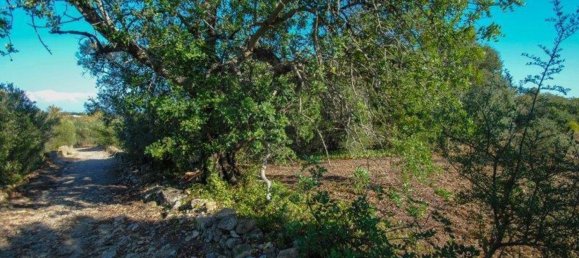 11720m² Land in Olhao, Portugal No. 85715 2