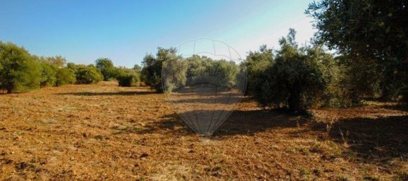 11720m² Land in Olhao, Portugal No. 85715 4