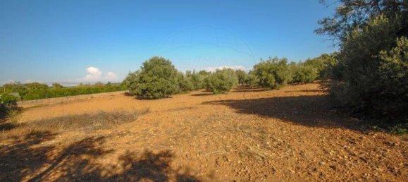11720m² Land in Olhao, Portugal No. 85715 5