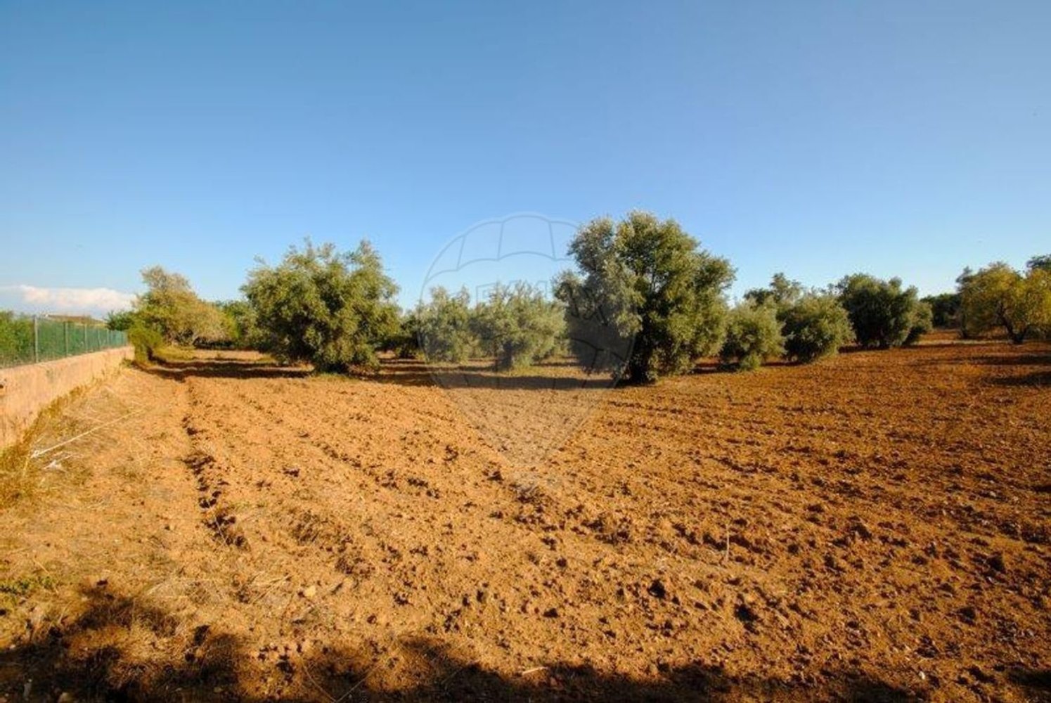 11720m² Land in Olhao, Portugal No. 85715