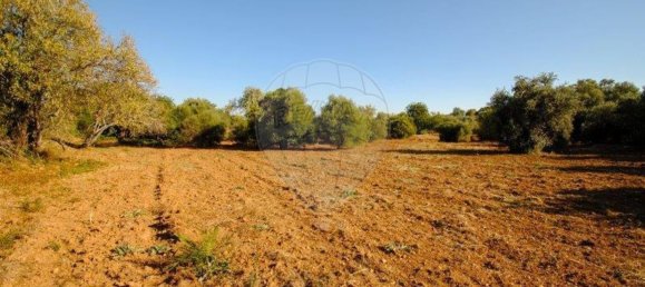 11720m² Land in Olhao, Portugal No. 85715 7