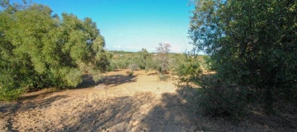 11720m² Land in Olhao, Portugal No. 85715 13