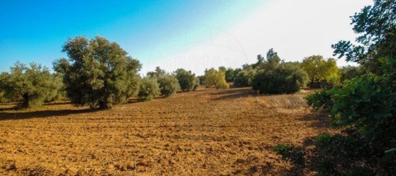 11720m² Land in Olhao, Portugal No. 85715 15