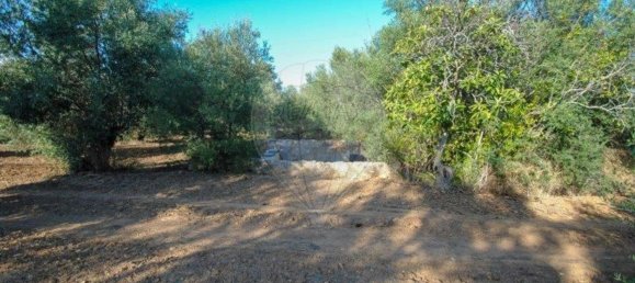 11720m² Land in Olhao, Portugal No. 85715 9