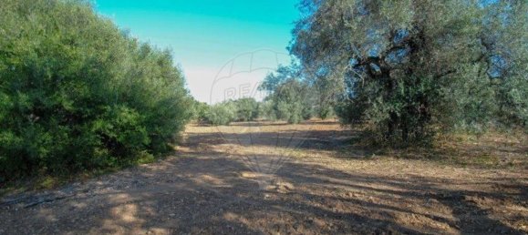 11720m² Land in Olhao, Portugal No. 85715 8