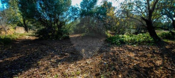 11720m² Land in Olhao, Portugal No. 85715 6