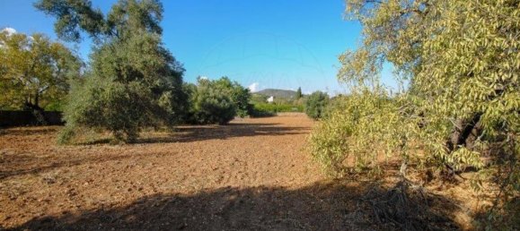 11720m² Land in Olhao, Portugal No. 85715 17