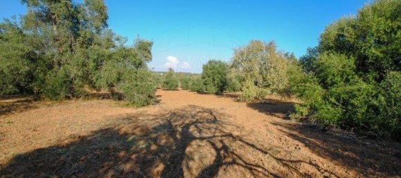 11720m² Land in Olhao, Portugal No. 85715 16