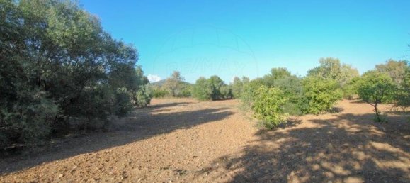 11720m² Land in Olhao, Portugal No. 85715 3