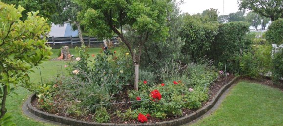 2-Zimmer Bungalow in Podersdorf am See, Austria, Nr. 239433 24