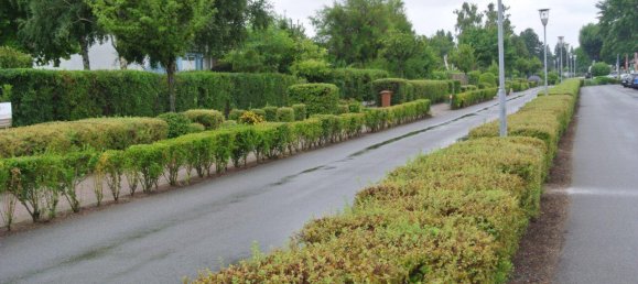 2-Zimmer Bungalow in Podersdorf am See, Austria, Nr. 239433 27