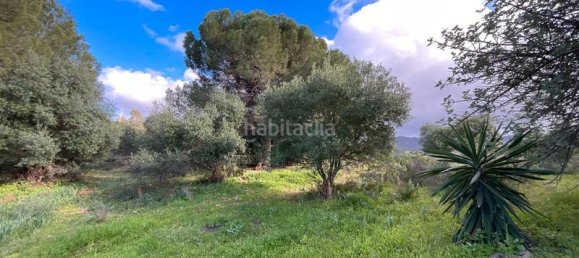 6 chambres Maison à Alhaurin de la Torre, Spain No. 64648 11