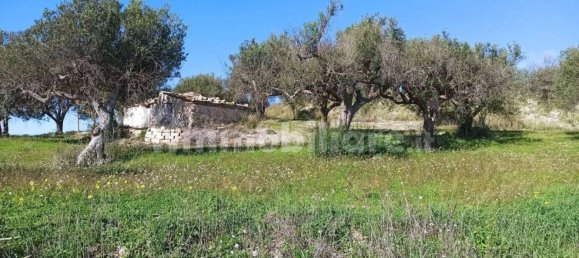 Terrain à Noto, Italy 11127m² No. 68060 10
