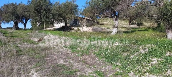 Terrain à Noto, Italy 11127m² No. 68060 7