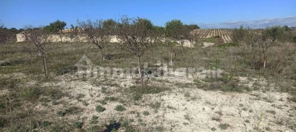 Terrain à Noto, Italy 11127m² No. 68060 4