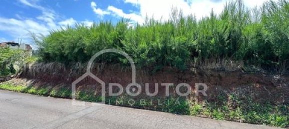 Land in Porto Moniz, Portugal No. 190186 2