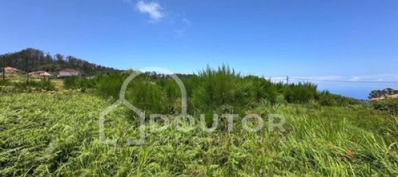 Land in Porto Moniz, Portugal No. 190186 7