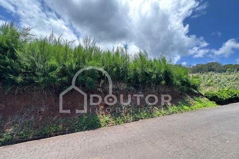  Land in Porto Moniz, Portugal No. 190186