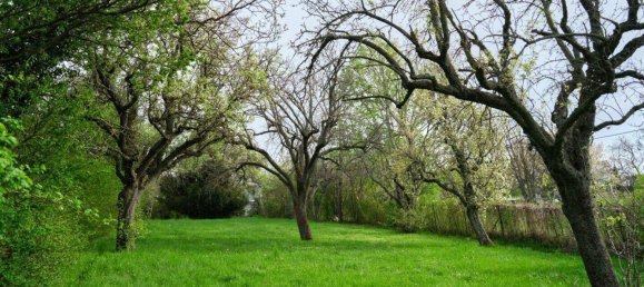 Terreno en Perchtoldsdorf, Austria 1295 m² No. 212583 6