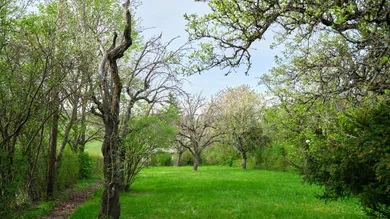  قطعة أرض في Perchtoldsdorf, Austria 1295متر مربع رقم 212583