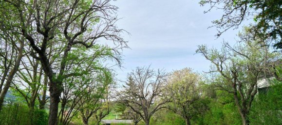 Terreno en Perchtoldsdorf, Austria 1295 m² No. 212583 2