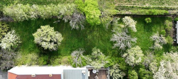 Terreno en Perchtoldsdorf, Austria 1295 m² No. 212583 10