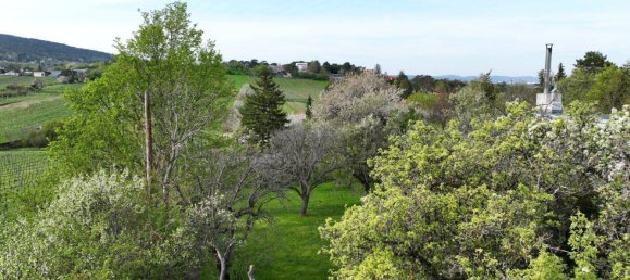 Terreno en Perchtoldsdorf, Austria 1295 m² No. 212583 7