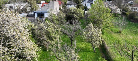 Terreno en Perchtoldsdorf, Austria 1295 m² No. 212583 9