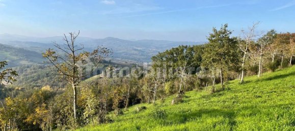 2 bedrooms Villa in Urbino, Italy No. 69785 5