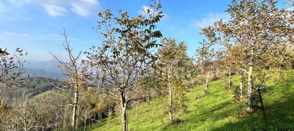 2 bedrooms Villa in Urbino, Italy No. 69785 7