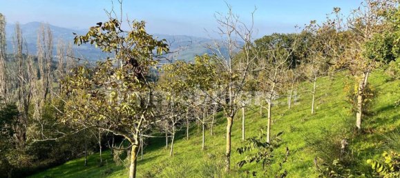 2 bedrooms Villa in Urbino, Italy No. 69785 6