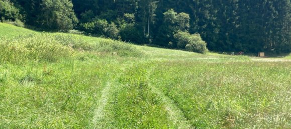 Terrain à Gröbming, Austria 15375m² No. 18777 2