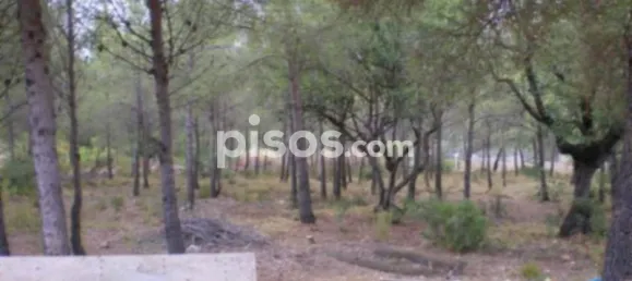 Casa de 2 dormitorios en Sagunto, Spain No. 75743 10