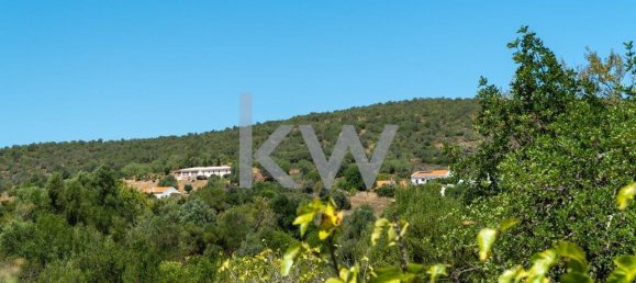 4200m² Land in Sao Bartolomeu de Messines, Portugal No. 58758 12