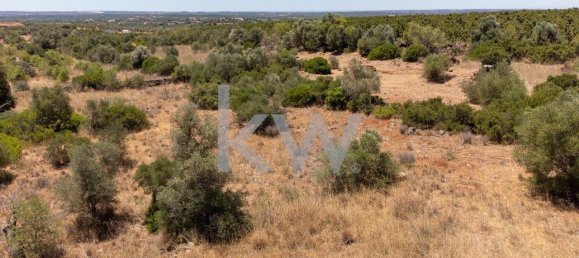 4200m² Land in Sao Bartolomeu de Messines, Portugal No. 58758 7