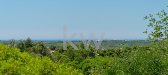 4200m² Land in Sao Bartolomeu de Messines, Portugal No. 58758 10