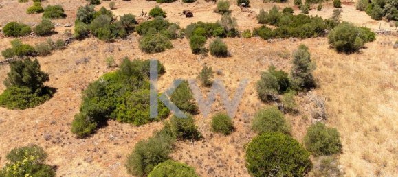 4200m² Land in Sao Bartolomeu de Messines, Portugal No. 58758 6