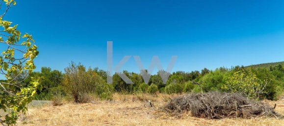 4200m² Land in Sao Bartolomeu de Messines, Portugal No. 58758 14