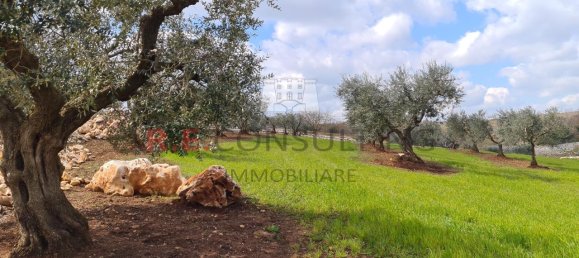 5 rooms Villa in Martina Franca, Italy No. 149456 13