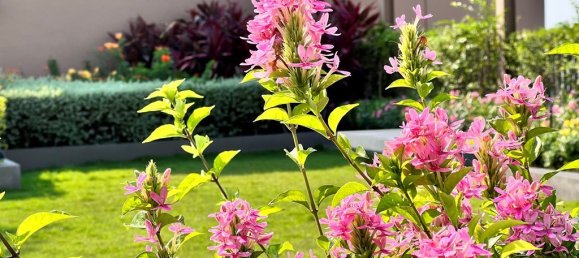 شقة 1 غرف نوم في Bangkok, Thailand رقم 6241 18