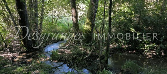 20000m² Land in Saint-Yrieix-la-Perche, France No. 300113 3