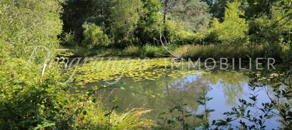 20000m² Land in Saint-Yrieix-la-Perche, France No. 300113 2