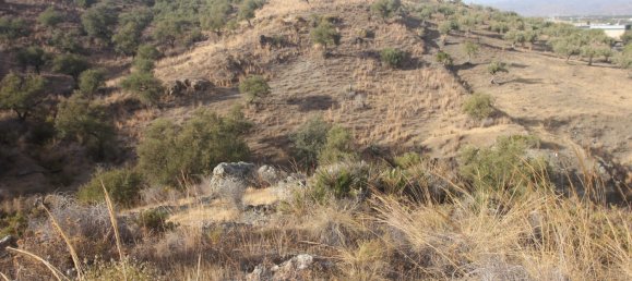 Land in Coin, Spain No. 147029 9